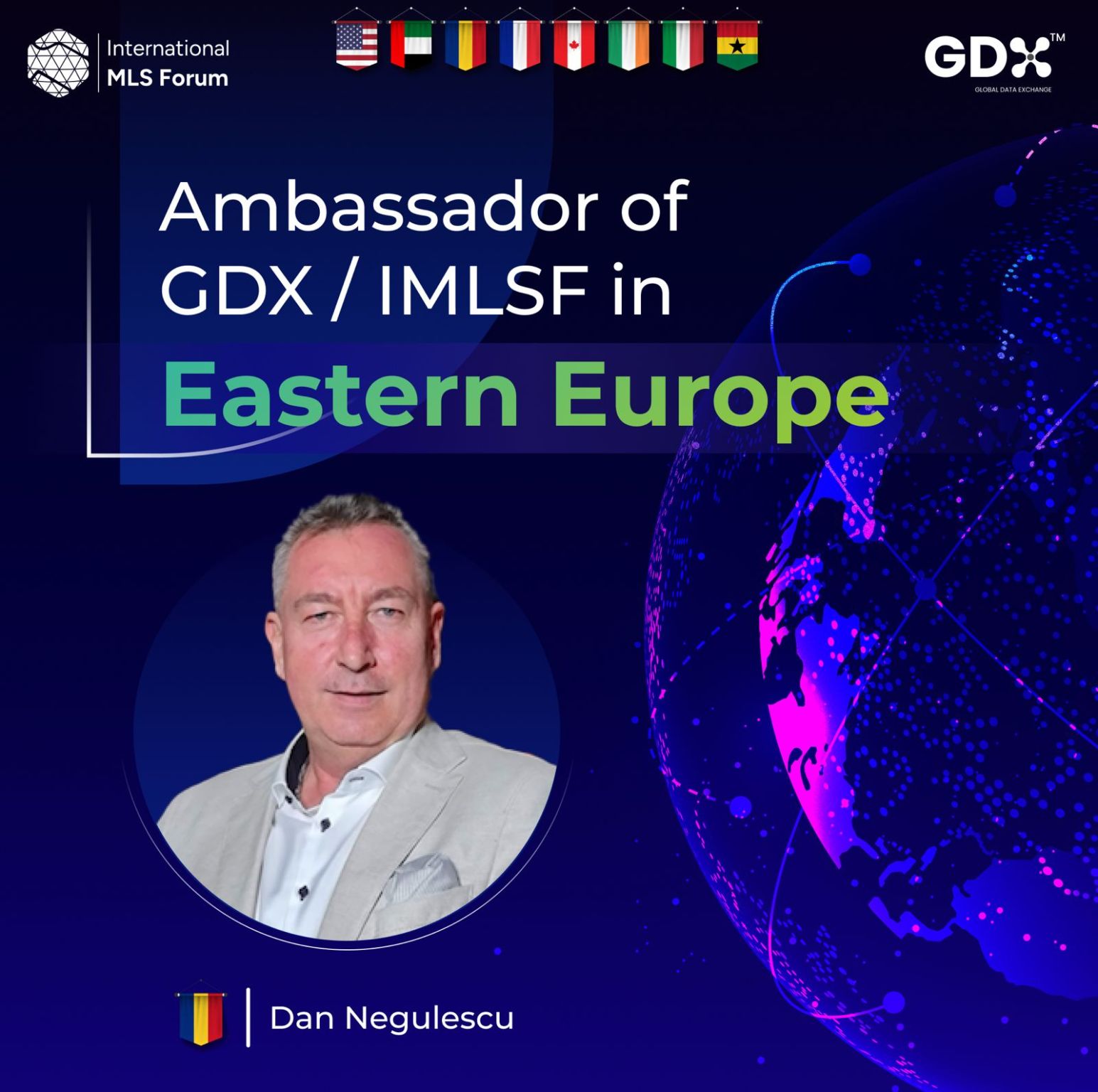 Dan A. Negulescu