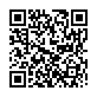 QR code for Standards Without Borders on the agenda
